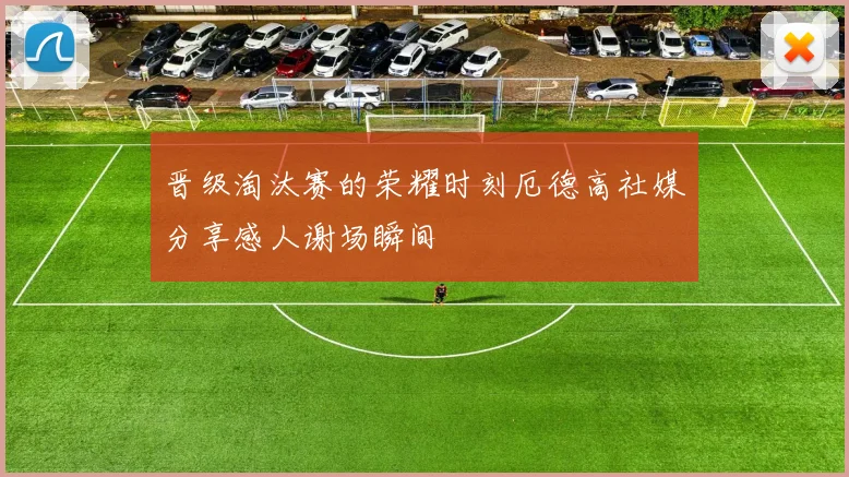 晋级淘汰赛的荣耀时刻厄德高社媒分享感人谢场瞬间