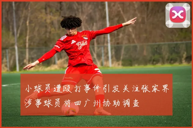 小球员遭殴打事件引发关注张家界涉事球员将回广州协助调查