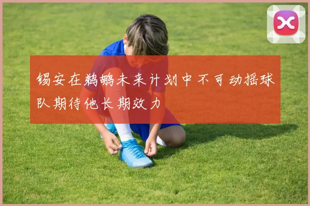 锡安在鹈鹕未来计划中不可动摇球队期待他长期效力